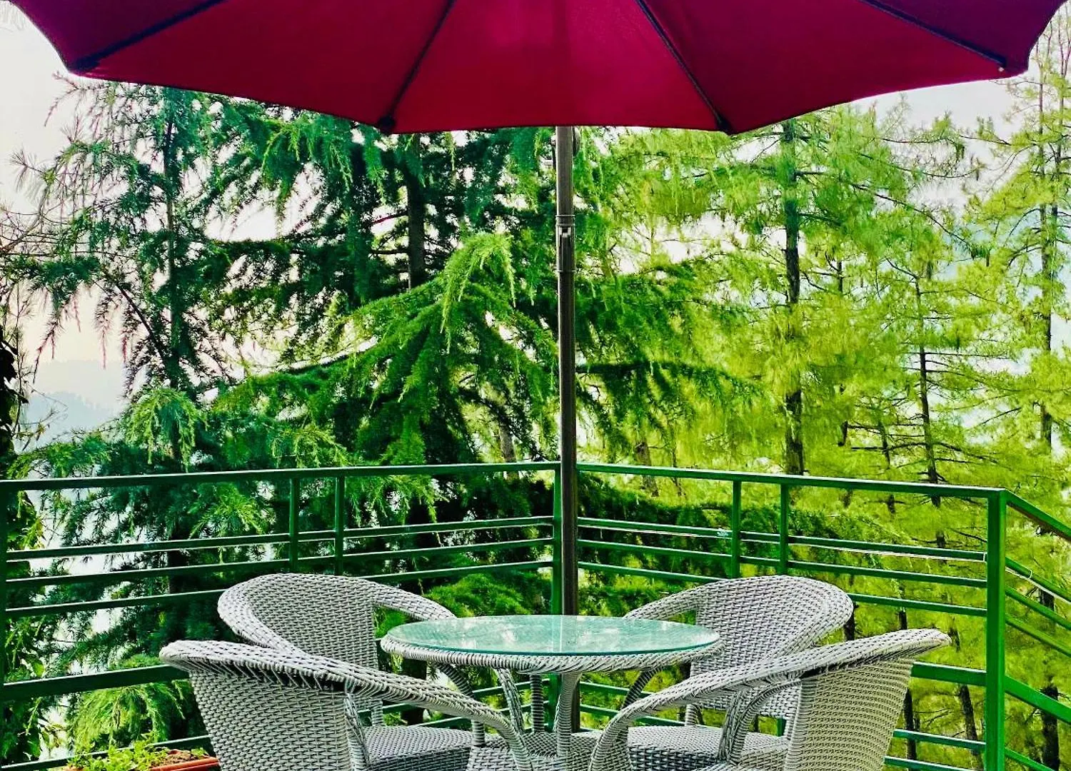 Valley View Resort Mashobra - Best Holiday Home For Vacations Shimla